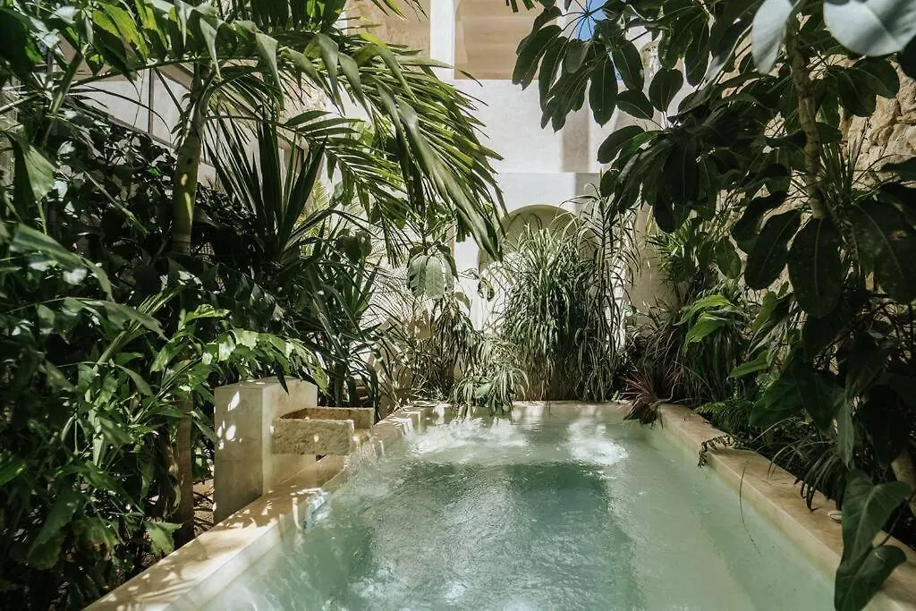 Design Casa Nautilus Lejlighed Tulum