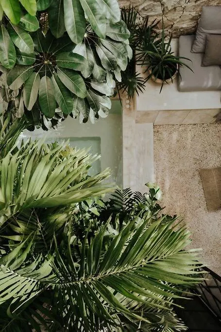 Design Casa Nautilus Lejlighed Tulum