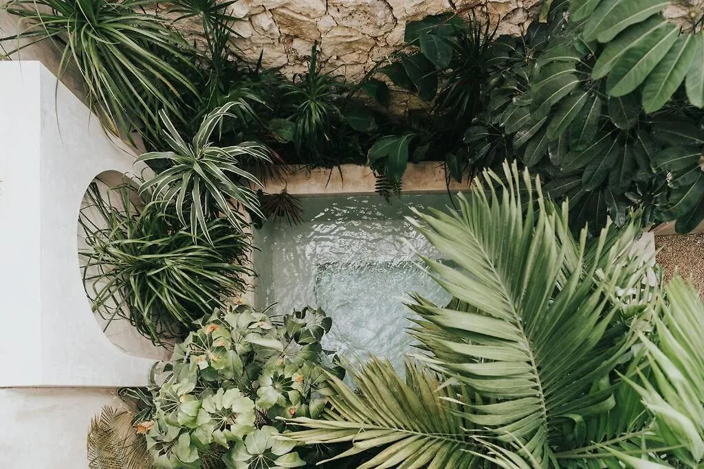 Design Casa Nautilus Lejlighed Tulum