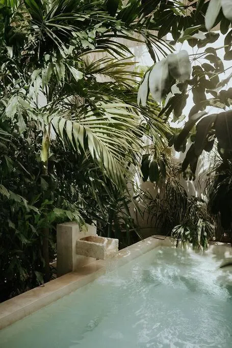 Design Casa Nautilus Lejlighed Tulum